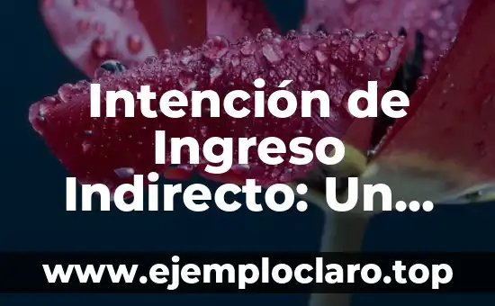 Intención de Ingreso Indirecto: Un Enfoque Estratégico para la Rentabilidad