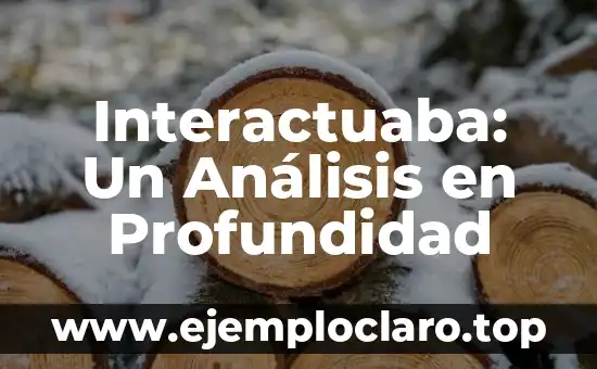 Interactuaba: Un Análisis en Profundidad