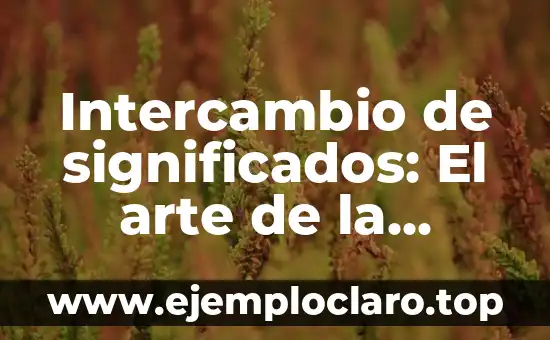 Intercambio de significados: El arte de la comunicación efectiva