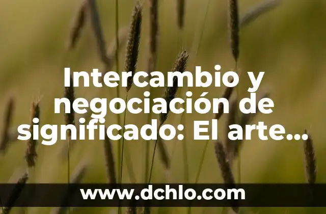 Bertín Osborne, Tu Casa es la Mía: El Programa de Intercambio de Viviendas más Popular 3 Intercambio y negociación de significado: El arte de compartir y construir sentidos