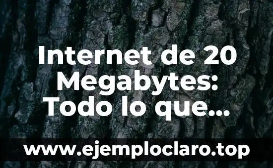 Significado de SpO2: Todo lo que Necesitas Saber 8 Internet de 20 Megabytes: Todo lo que Necesitas Saber