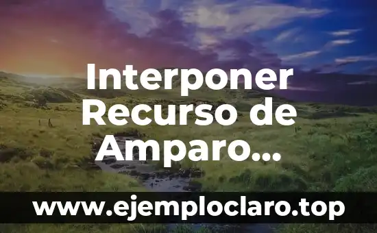Interponer Recurso de Amparo Significado