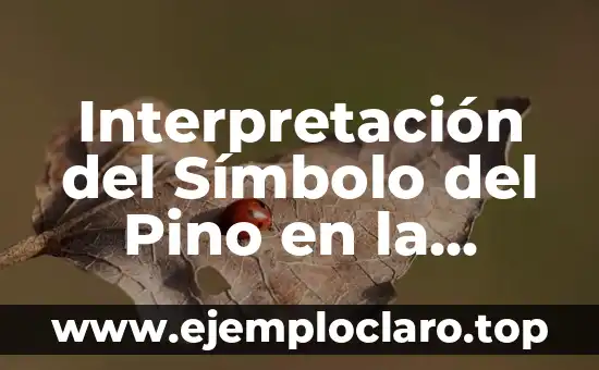Interpretación del Símbolo del Pino en la Lectura del Café