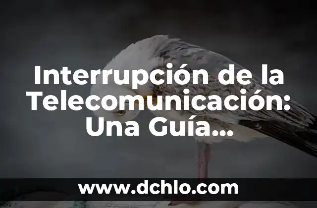 Interrupción Legal de Embarazo Significado 6 Interrupción de la Telecomunicación: Una Guía Completa