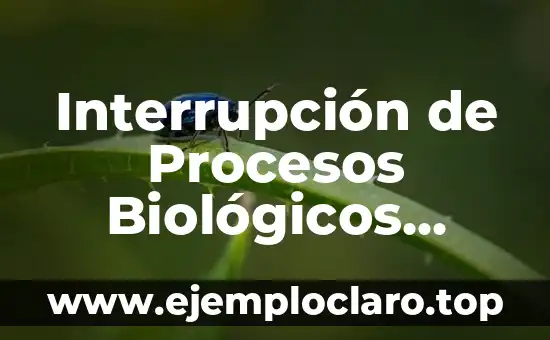 Interrupción de Procesos Biológicos Significado
