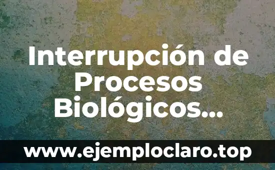Interrupción de Procesos Biológicos Significados - Un Enfoque Integral