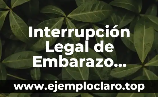 Interrupción Legal de Embarazo Significado