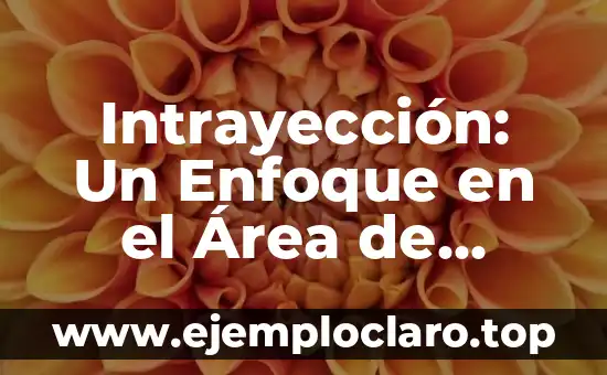 Intrayección: Un Enfoque en el Área de Psicología