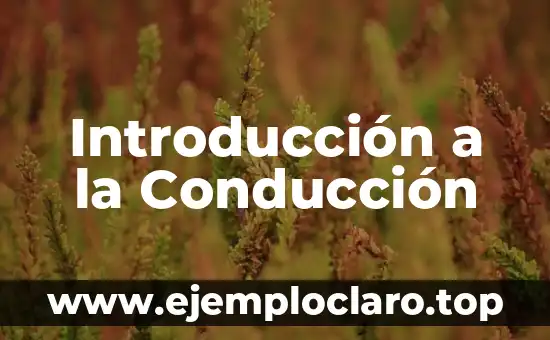 Introducción a la Conducción