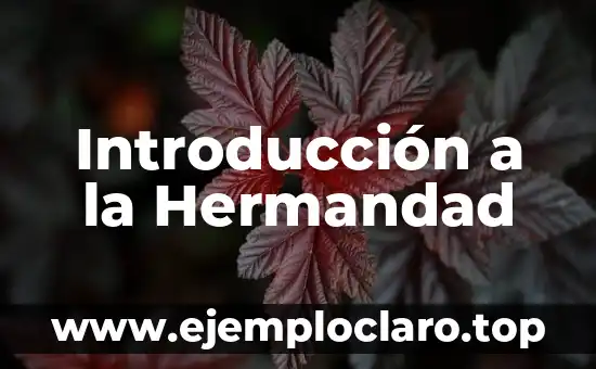 Introducción al Concepto de Juegos de Azar 5 Introducción a la Hermandad