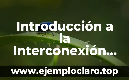 Introducción al significado de un grupo 8 Introducción a la Interconexión Biológica