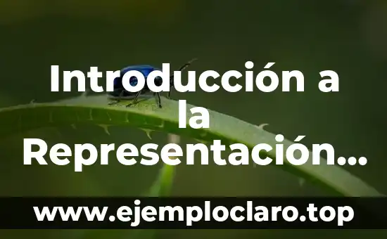 Au Bout de la Scène - Un Concepto Teatral Profundo 5 Introducción a la Representación Teatral