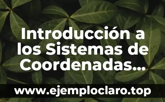 El Principio de Bernoulli y su Impacto en la Física de Fluidos 6 Introducción a los Sistemas de Coordenadas en Física