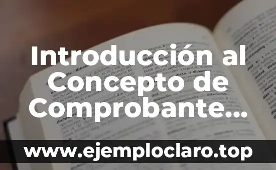 Introducción al Concepto de Comprobante de Pago de Derechos