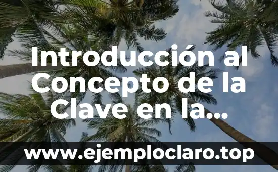 Introducción al significado de un grupo 3 Introducción al Concepto de la Clave en la Educación Preescolar