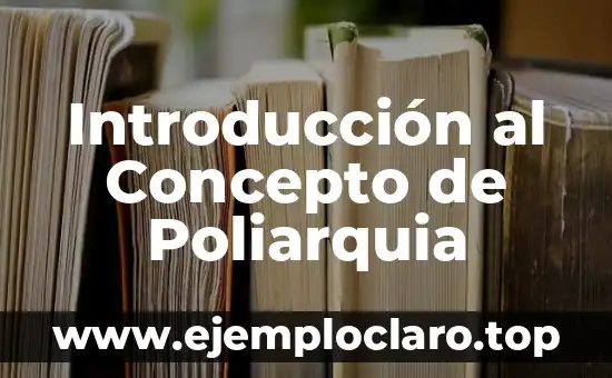 Introducción a la Conducción 8 Introducción al Concepto de Poliarquia