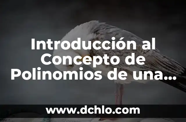 Como hacer la comprobación de una división de polinomios 4 Introducción al Concepto de Polinomios de una Variable