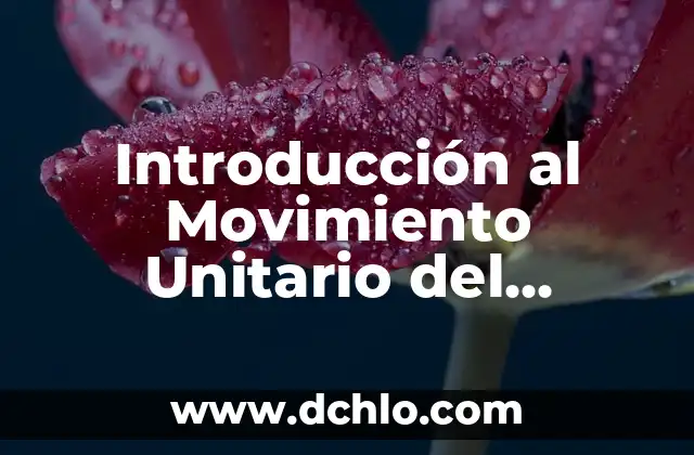 Significado de Transporte: Un Viaje a través de su Definición 8 Introducción al Movimiento Unitario del Transporte (MUD)