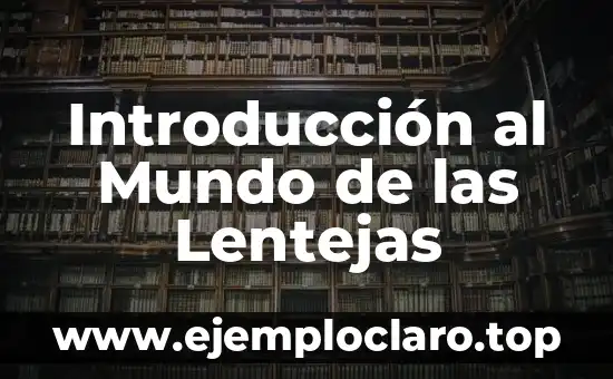 Introducción al Concepto de Juegos de Azar 4 Introducción al Mundo de las Lentejas