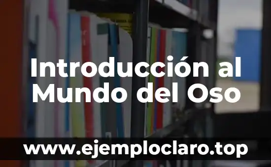Introducción a la Conducción 6 Introducción al Mundo del Oso