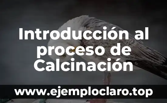 Introducción a la Conducción 3 Introducción al proceso de Calcinación