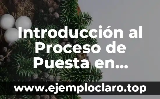 Cuánto tarda un cuerpo en descomponerse en un ataúd: La verdad sobre el proceso de descomposición 3 Introducción al Proceso de Puesta en Marcha