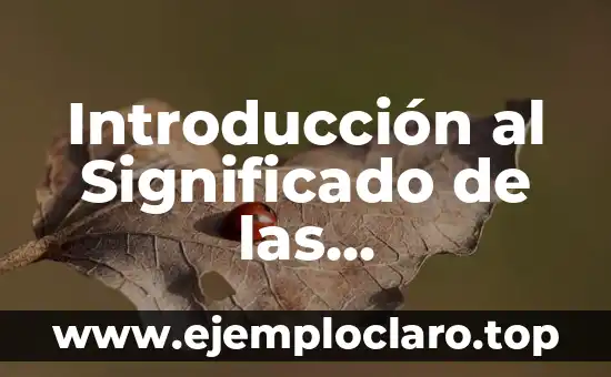 Introducción a la Conducción 5 Introducción al Significado de las Temperaturas en los Sacos de Dormir