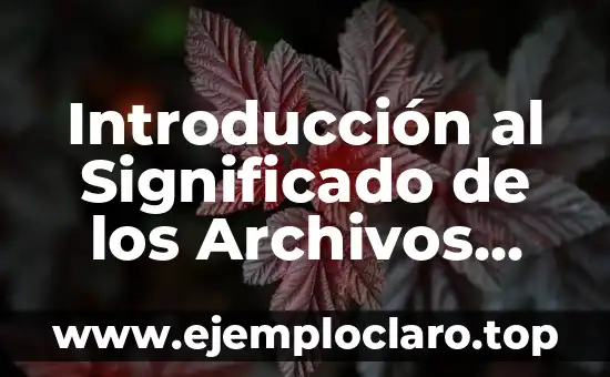 Nombre de Dominio Significado en Informática 3 Introducción al Significado de los Archivos .bat en Informática
