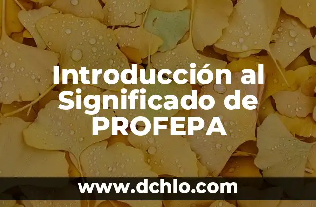 El Significado de Propicio 6 Introducción al Significado de PROFEPA