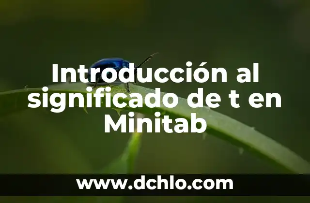 Cotas significado de V y T 5 Introducción al significado de t en Minitab