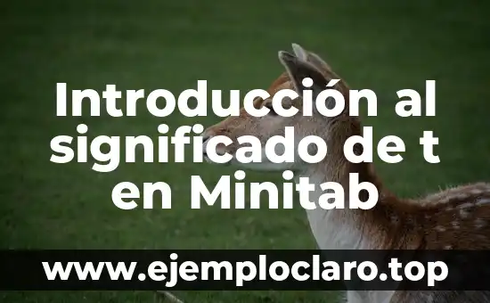 Introducción al significado de t en Minitab