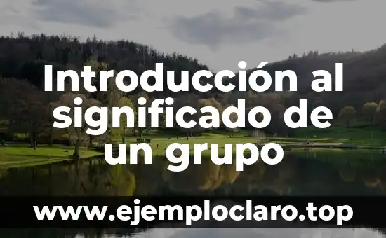 Introducción al significado de un grupo