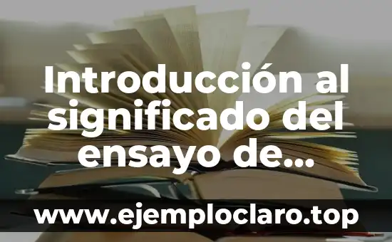 Introducción al significado del ensayo de tensión