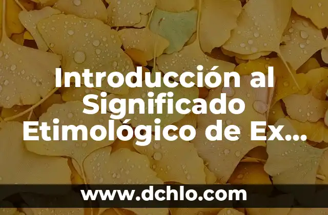 Como hacer que mi ex regrese conmigo sin rogarle 4 Introducción al Significado Etimológico de Ex Profeso