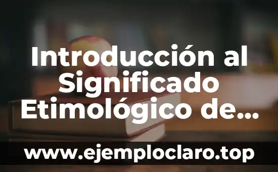 Como hacer que mi ex regrese conmigo sin rogarle 4 Introducción al Significado Etimológico de Ex Profeso