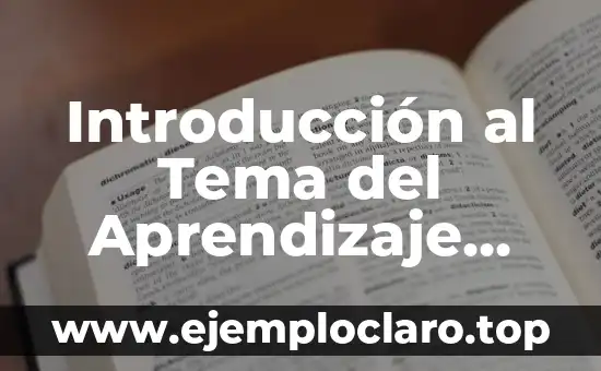 Introducción al Tema del Aprendizaje Significativo