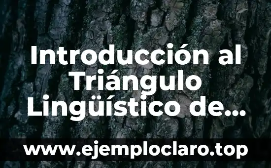 Introducción al Triángulo Lingüístico de Ullman