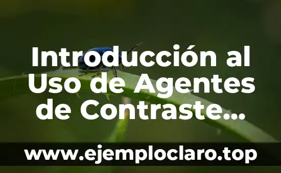 Introducción al Uso de Agentes de Contraste en Ultrasonido