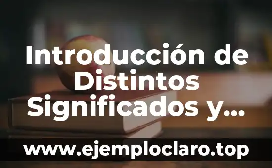 Introducción de Distintos Significados y Ejemplos