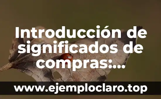 Introducción de significados de compras: Descubre el poder detrás de tus decisiones de compra