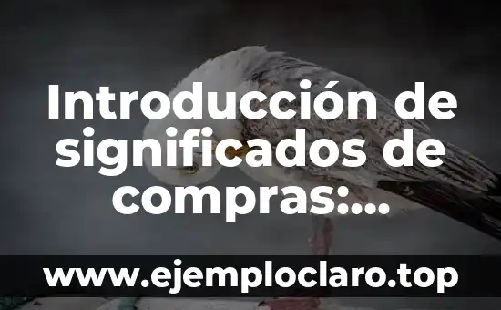 Introducción de significados de compras: Descubre el poder detrás de tus decisiones de compra 4 Introducción de significados de compras: Descubre el significado detrás de tus compras