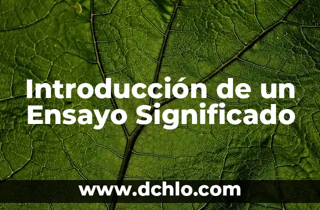 Significado de Enfermedades de Transmisión Sexual 5 Introducción de un Ensayo Significado