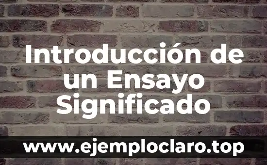 Introducción de un Ensayo Significado