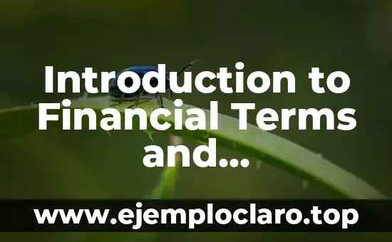 Introduction to Financial Terms and Accounting Standards