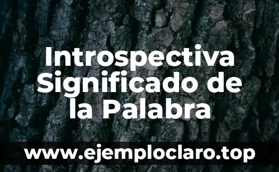 Introspectiva Significado de la Palabra