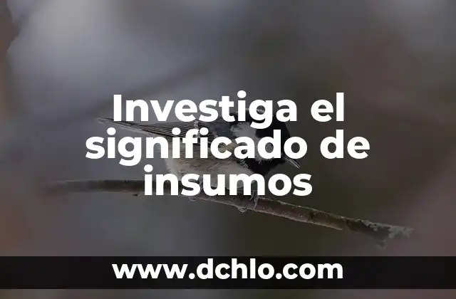 Significado de SSPA 4 Investiga el significado de insumos