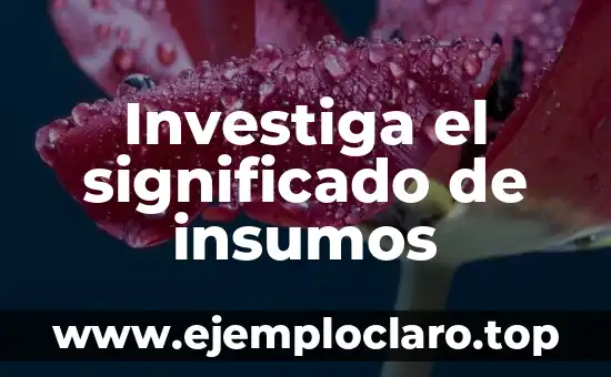 Investiga el significado de insumos