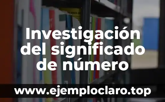 Investigación del significado de número