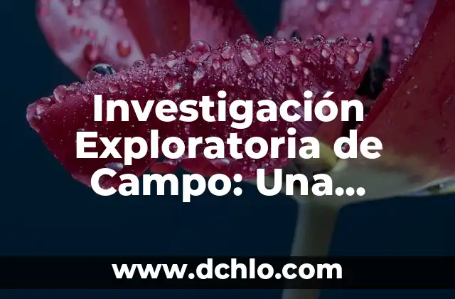 Investigación sobre el significado de Regencia 8 Investigación Exploratoria de Campo: Una Herramienta Fundamental