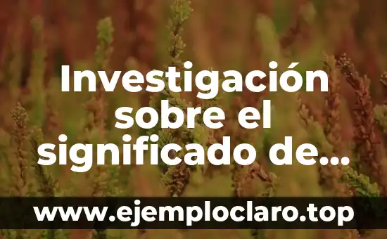 Investigación sobre el significado de deducir 4 Investigación sobre el significado de incoloro